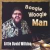 LITTLE DAVID WILKINS: Boogie Woogie Man