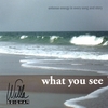 WILLA BRIGHAM: What You See