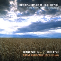 DIANE WILLIS AND JOHN FISH: Improvisations From the Other Side