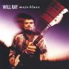Will Ray on CDBaby