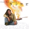 WIM ROELANTS: Burn