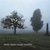 WINNIE WINSTON: Misty Morn