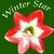 WINTER STAR: Winter Star