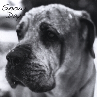 HEIDI WINZINGER: Snow Day