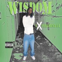 Wisdom : Experiment 1