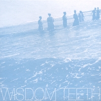 Wisdom Teeth : Wisdom Teeth