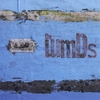THE WMDS: We Are Waves