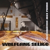 WOLFGANG SELIGO: Alternative Jazz Piano