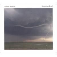 Amnon Wolman : Dangerous Bend