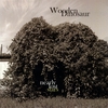 Wooden Dinosaur: Nearly Lost Stars