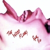 The Wood Floors: Real Pig