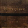 WORM'S EYE VIEW: A Novel