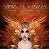 Wouter Kellerman and Ricky Kej: Winds of Samsara