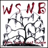 WSNB: Jomo Swamp Root Boogie