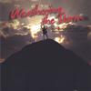 WEATHERING THE STORM: Weathering the Storm