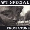 W.T. SPECIAL: From Stone