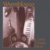 WUMBLOOZO: Come Down Here