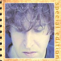 Steve Wynn : Fluorescent (2002 Reissue)