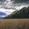 WYNNDE VESSUP: Harvest
