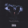 XRAY: Fallen Angel