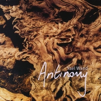 Yael Wand : Antinomy