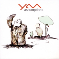 YAM : Assumptions