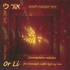 YOEL TAIEB: Or Li