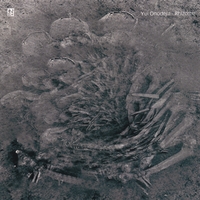 YUI ONODERA: Rhizome