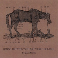 Zac Brown : Ride The Sick Horse