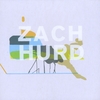 Zach Hurd: Changing Landscapes