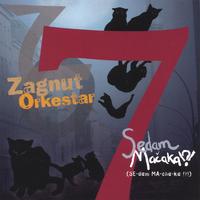Zagnut Orkestar : Sedam Machaka