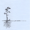 JOE ZAMBON: You Are I Am