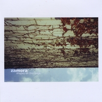 Zamora : Shapes On This Page