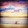 Zarevic  Radoslav: Trumpet  Duck