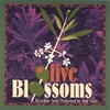 ZEVY ZIONS: Olive Blossoms