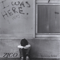 ZICO : Recovering Failure