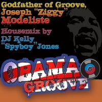 Zigaboo Modeliste : HOUSEMIX O-B-A-M-A, Obama (Obamagroove)