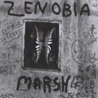 Zenobia Marsh and The Curable Interns : The Curable Interns play . . .Zenobia Marsh sings . . .