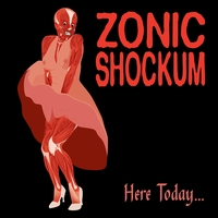 Zonic Shockum : Here Today...