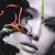 ZORIE: Adiccion