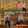 VINNIE ZUMMO: Swinging Guitar Sounds of Young America