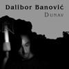 Dalibor Banović: Dunav