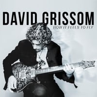 David Grissom: How It Feels to Fly