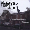 Fisheye: A Totally Different Disaster
