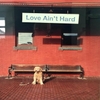 Sue Menhart Band: Love Ain't Hard