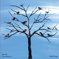 Patrick Fitzsimmons | Bird Tree