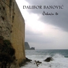 Dalibor Banović: Čekaću te