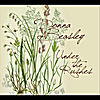 Donna Beasley: Under the Rushes