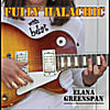 Elana Greenspan: Fully Halachic with a Beat