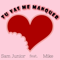 Sam Junior - Tu vas me manquer Loalb01317851